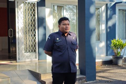 apelsenin